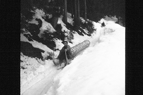 Foto Talfahrt mit Hornschlitten