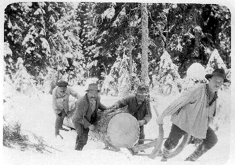 Foto Holztransport mit Hornschlitten