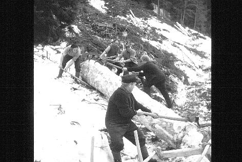 Foto Trämel wenden mit Zappi