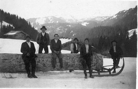 Foto Holztransport mit Halbschlitten