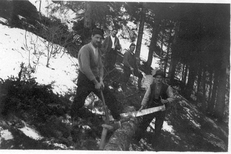 Foto Holz aufrüsten im Wald