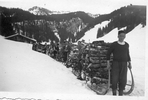 Foto Pflichtholztransport mit Hornschlitten