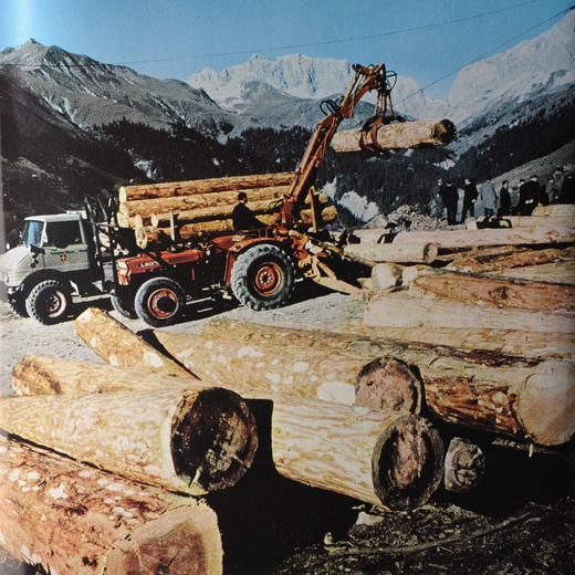 Foto Stammholzverlad