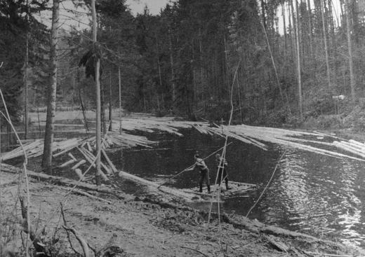 Foto Sturmholzlagerung im Wasser