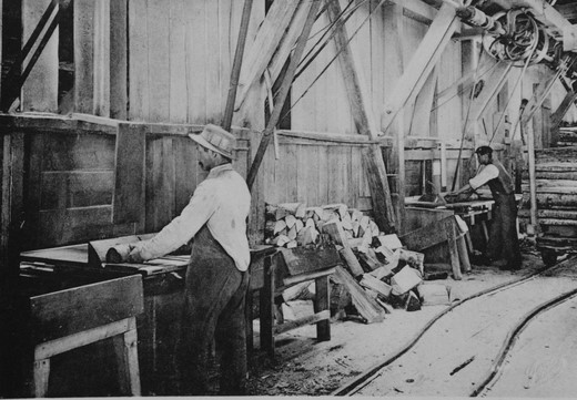 Foto Brennholz fräsen