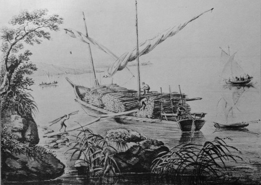 Foto Brennholztransport auf dem See