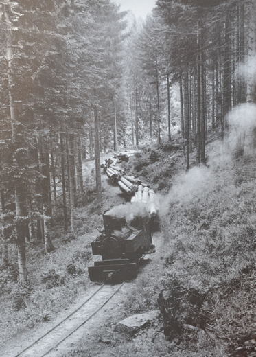 Foto Waldeisenbahn