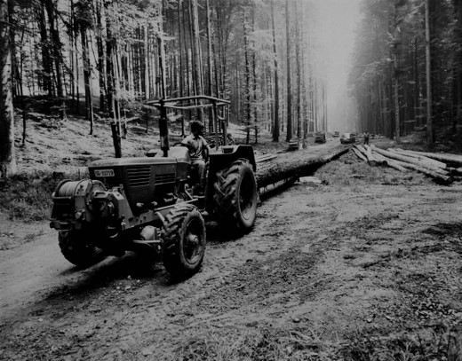 Foto Rücken mit Traktor