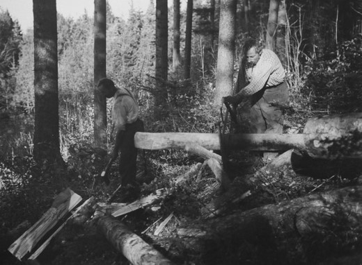 Foto Brennholz richten