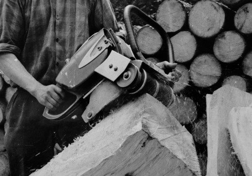 Foto Biber Entrindungsmaschine