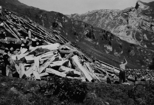 Foto Brennholz aufbereiten