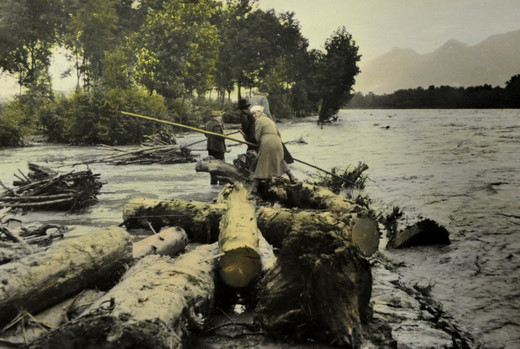 Foto Rheinholz fischen