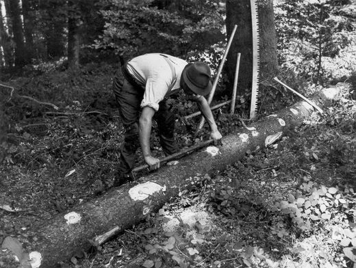 Foto Holz ablängen mit Meterstab
