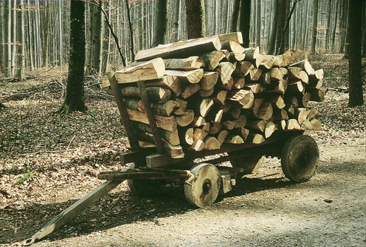 Foto Rückewagen für Brennholz