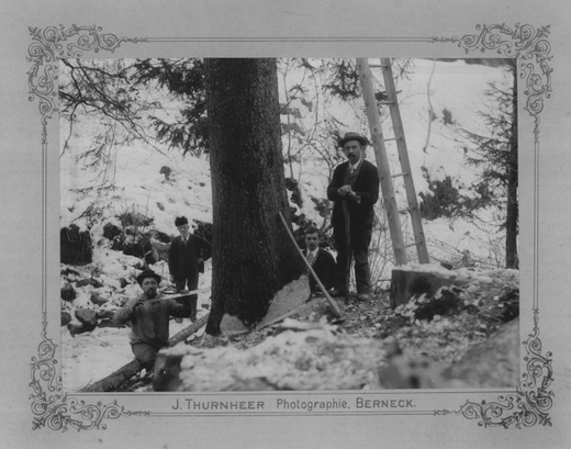 Foto Holzergruppe