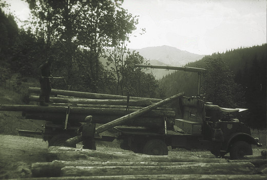 Foto Holzverlad auf LKW