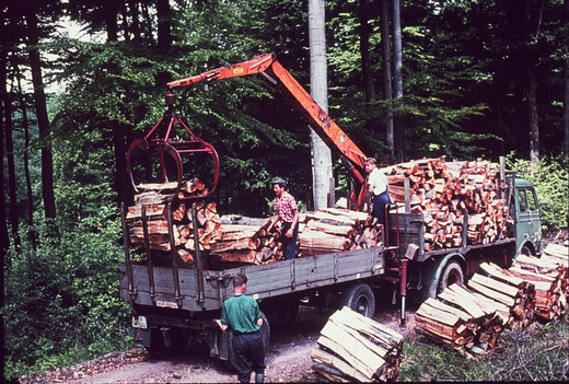 Foto Verlad von Schichtholzbündel