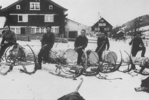 Foto Hornschlitten