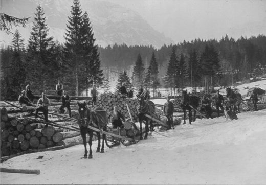 Foto Hornschlitten