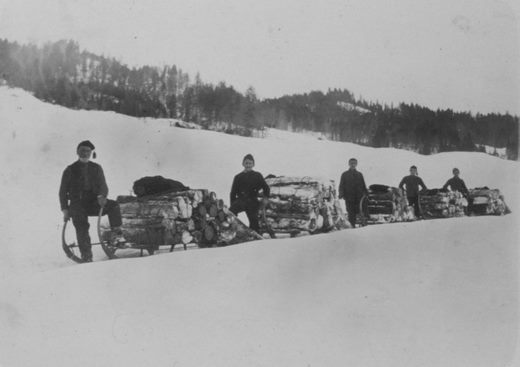 Foto Hornschlitten