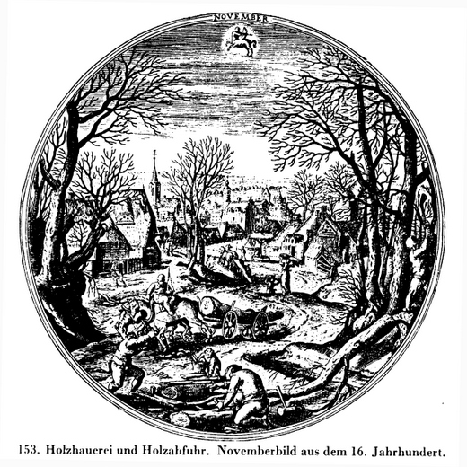 Foto Holzabfuhr