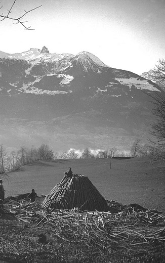 Foto Köhlerhaufen