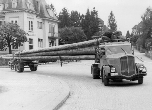 Foto Langholztransport mit Wepfer