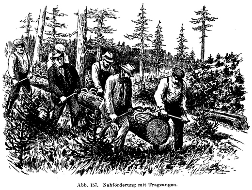 Foto Nahförderung von Stammholz mit Tragzangen