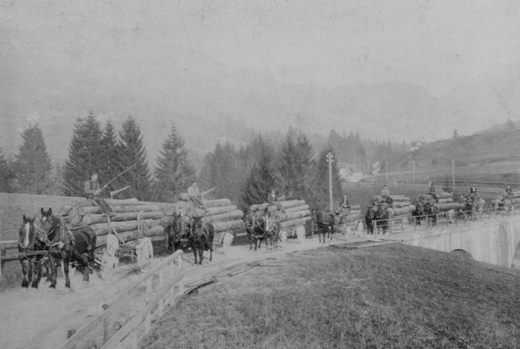 Foto Pferdefuhrwerke mit Rundholz