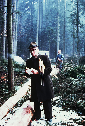 Foto Holz einmessen