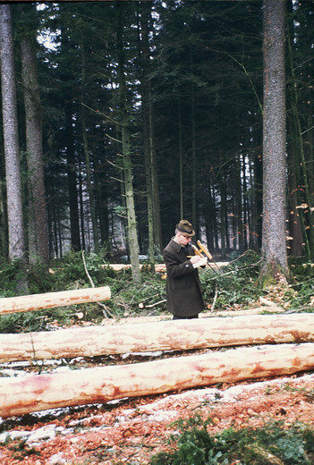Foto Holz einmessen