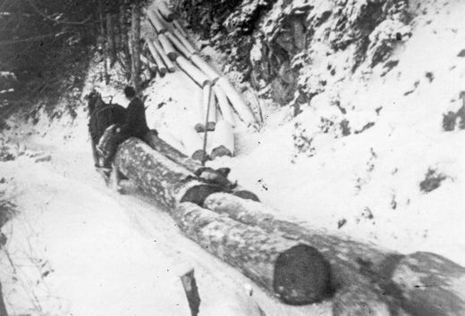 Foto Rücken mit Pferd