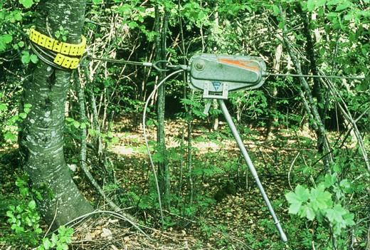 Foto Seilzug Habegger