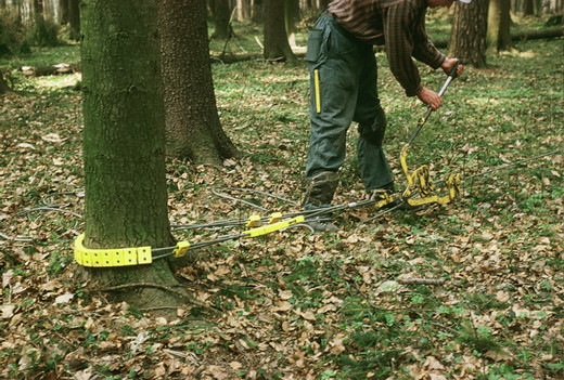 Foto FZ Solo Seilzug