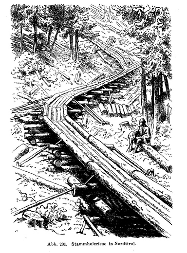 Foto Stammholzriese im Nordtirol