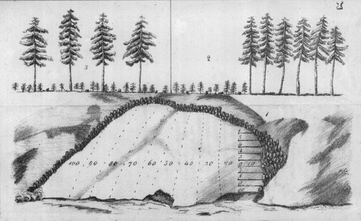 Foto Verjüngungsschlag nach Kasthofer