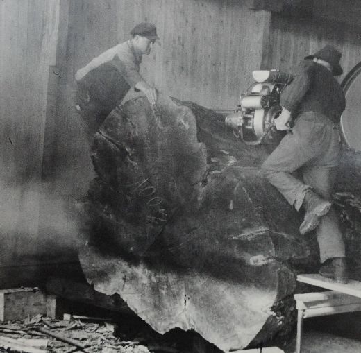 Foto Zweimann Motorsäge