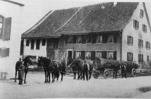 Foto Langholzfuhre in Kloten