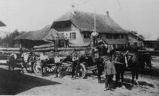 Foto Holztransport bei Sägerei