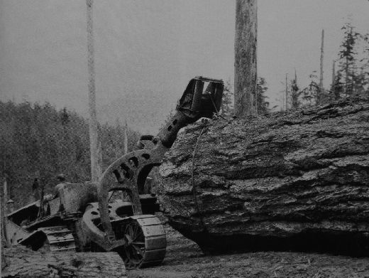 Foto Ein Raupenschlepper mit einem CARGO Track arch