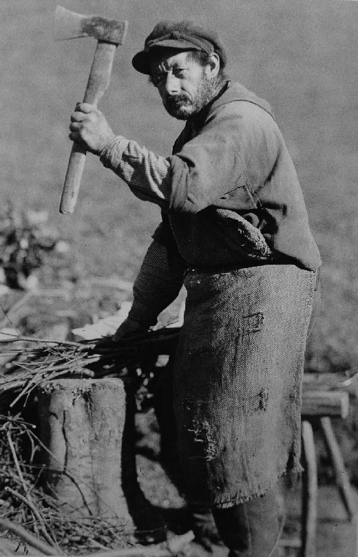 Foto Staudenmacher