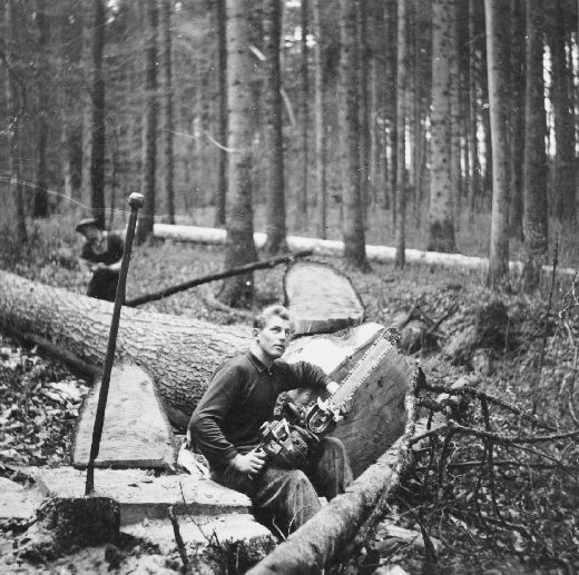 Foto Holzer mit Kettensäge