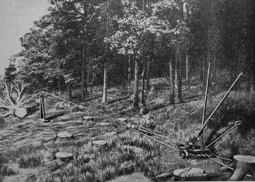 Foto Rodemaschine Hexe