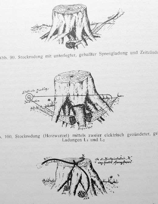 Foto Sprengen von Wurzelstöcken