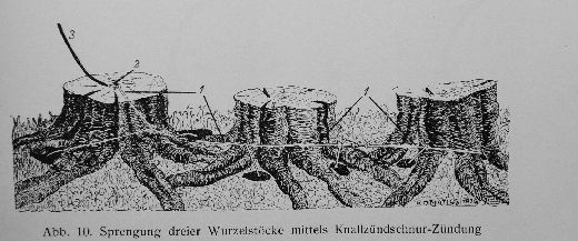 Foto Sprengen von Wurzelstöcken