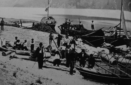 Foto Holztransport auf dem Lago Maggiore