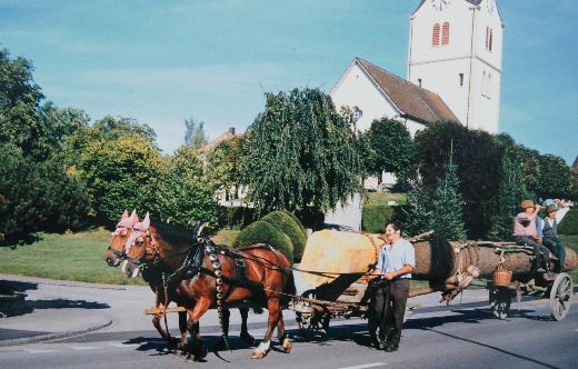Foto Pferdefuhrwerk im Dorf Tägerwilen