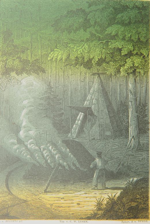 Foto kohlenmeiler im Wald