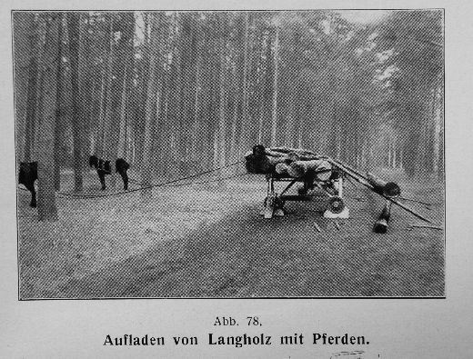 Foto Laden von Langholz auf Rückewagen