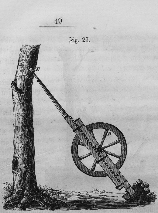 Foto Baumroden